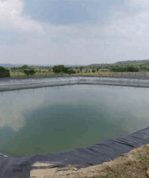 Màng chống thấm HDPE