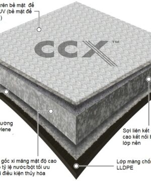 CCX - B