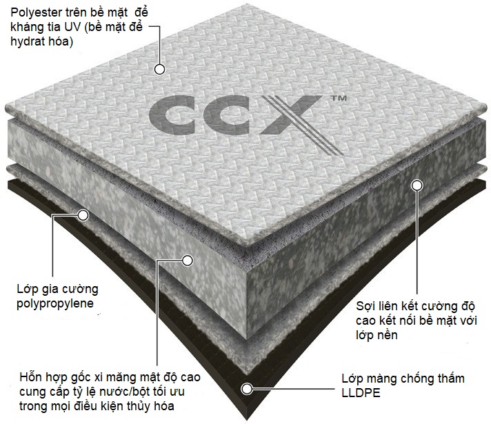 CCX - M