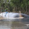 Ống Geotube dệt
