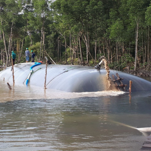 Ống Geotube dệt