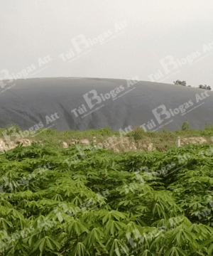 hầm bi ô ga hdpe