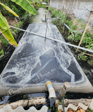 túi biogas 3m cho chăn nuôi heo