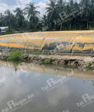 túi biogas khong lo